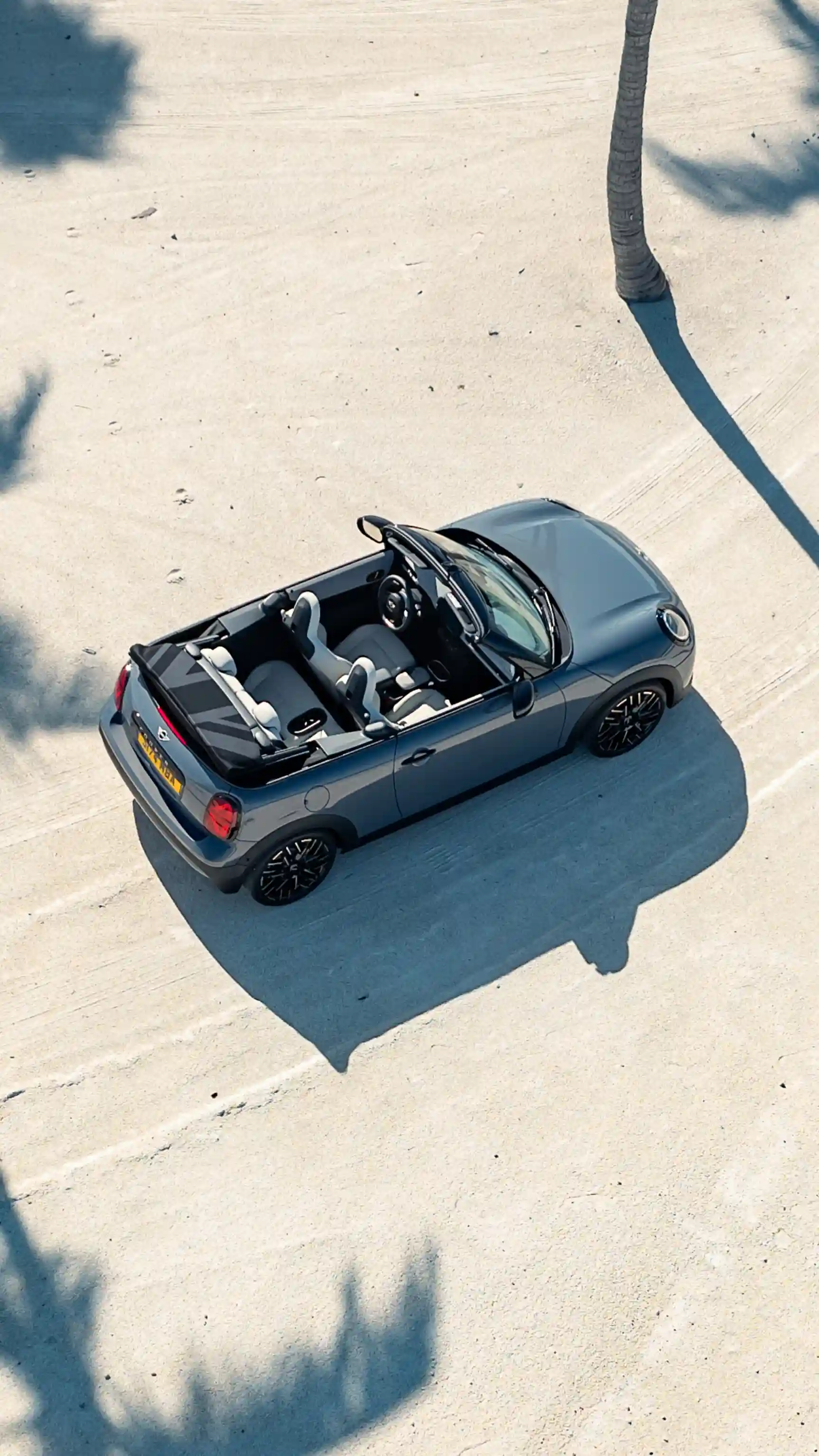 MINI Cooper Cabrio – Palmiers