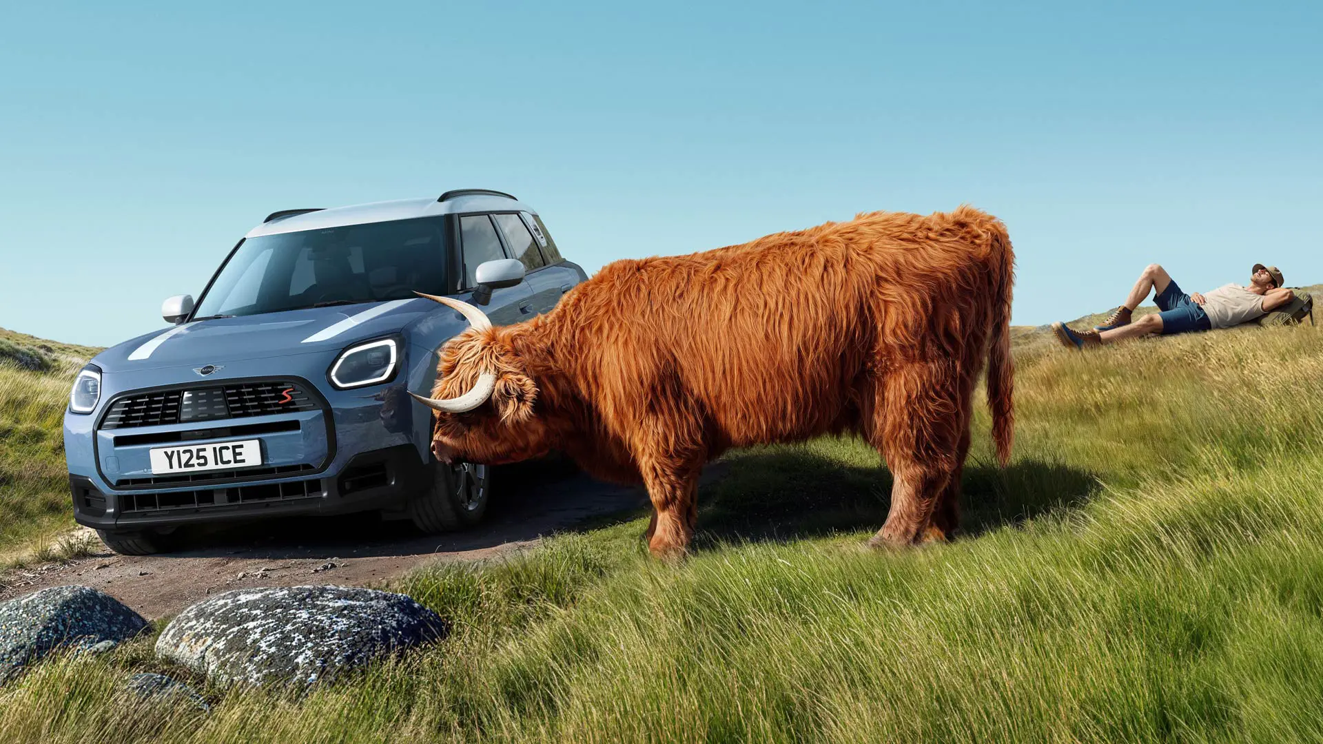 Une MINI Countryman passant devant une vache qui paît paisiblement à proximité. Avec Proactive Care, nous gérons les soucis pour que vous profitiez d'une conduite en toute tranquillité.