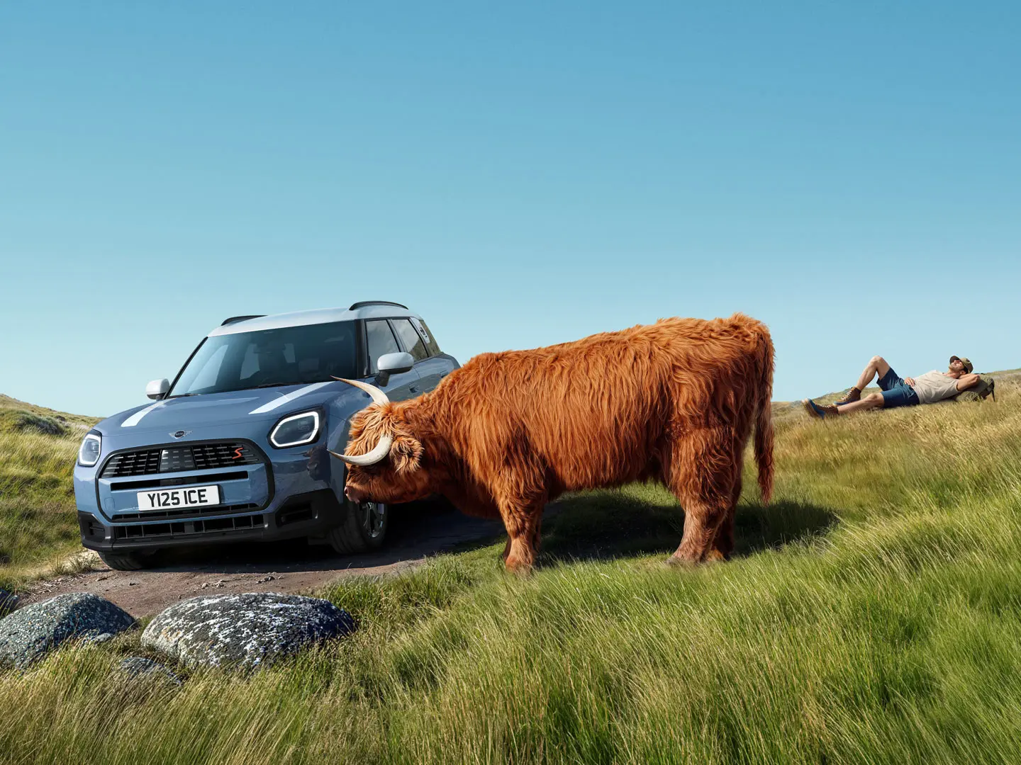 MINI Service avec Proactive Care – un homme en train de se détendre sur une colline à côté de sa MINI Countryman S ALL4 avec, à proximité, un taureau Highland.