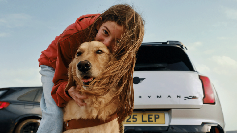 MINI Financial Services- insurance 